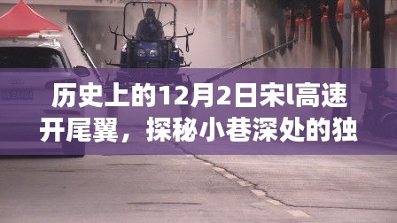 宋L高速尾翼主題小店，探秘小巷深處的獨特風味