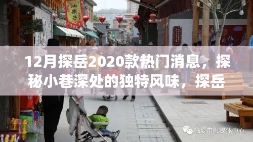 探岳2020款熱門消息揭秘，獨(dú)特風(fēng)味與小巷特色小店之旅