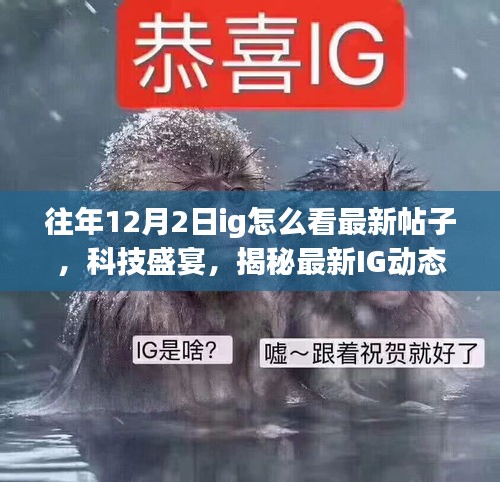 揭秘IG新功能，最新帖子瀏覽體驗與震撼新功能登場！科技盛宴開啟！