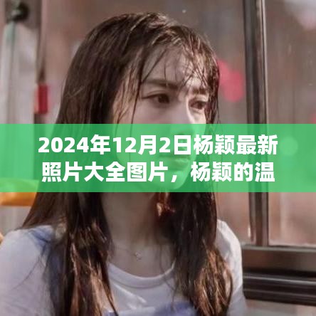 楊穎溫馨日常，冬日陽(yáng)光下的美好瞬間（最新照片大全）