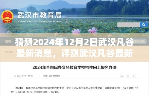 武漢凡谷最新消息解析，特性、體驗、競品對比與目標用戶群體分析