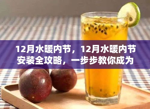 DIY達(dá)人必備，12月水暖內(nèi)節(jié)安裝全攻略，輕松掌握成為高手