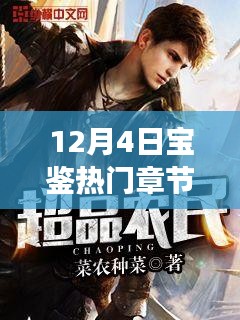 揭秘?zé)衢T章節(jié)背后的故事，深度解讀與觀點碰撞——12月4日寶鑒章節(jié)