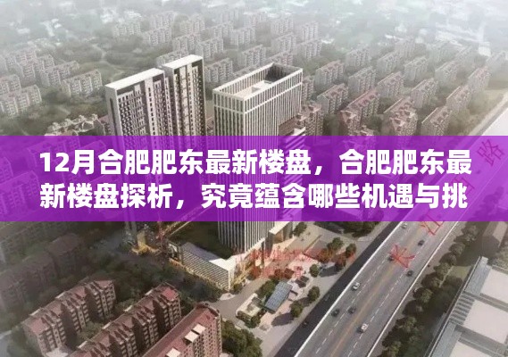 合肥肥東最新樓盤探析，機遇與挑戰(zhàn)揭秘