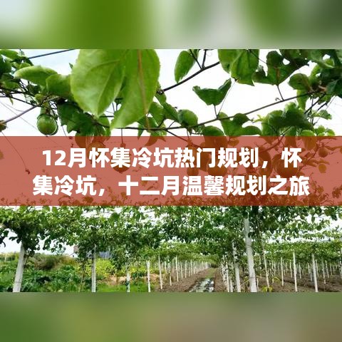 懷集冷坑十二月規(guī)劃之旅，暖心日常故事開啟溫馨之旅