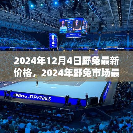 2024年野兔市場(chǎng)最新價(jià)格探析，觀點(diǎn)闡述與市場(chǎng)洞察