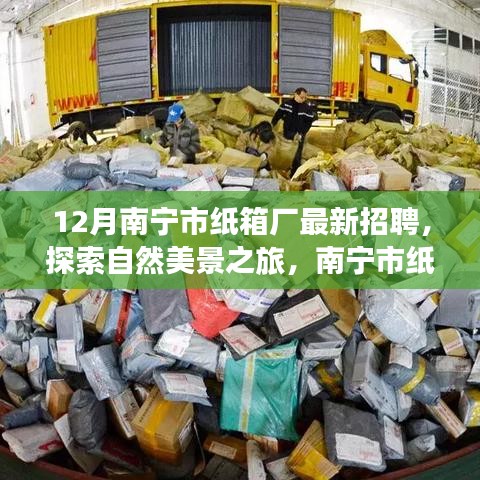 南寧市紙箱廠12月最新招聘啟事，探索自然美景之旅，尋找內(nèi)心的寧靜與平和之旅