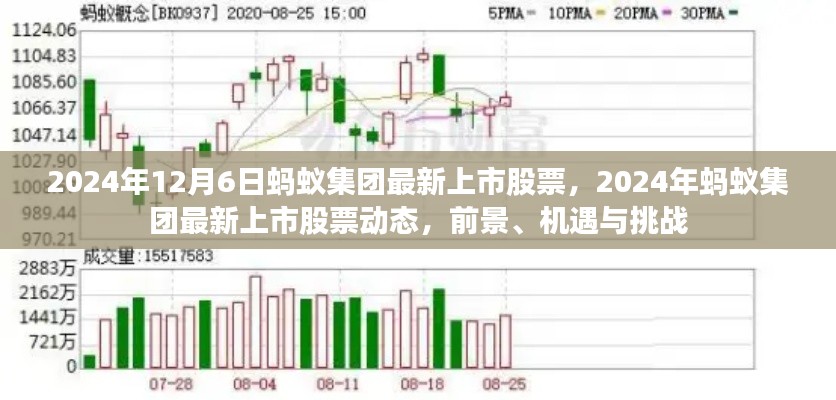 2024年螞蟻集團上市股票動態(tài)，前景、機遇與挑戰(zhàn)一覽