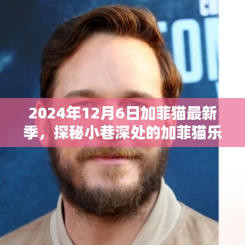 2024年12月6日加菲貓最新季，探秘小巷深處的加菲貓樂(lè)園，2024年12月6日全新加菲貓季節(jié)來(lái)襲！