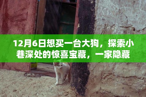 大狗探秘，小巷深處的隱藏式特色小店相遇記