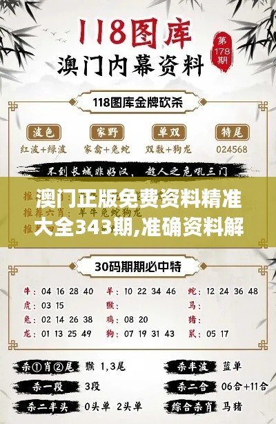 澳門(mén)正版免費(fèi)資料精準(zhǔn)大全343期,準(zhǔn)確資料解釋定義_復(fù)刻版15.883