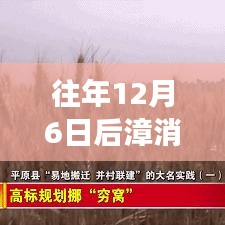 漳消村搬遷最新進(jìn)展概覽，觀點(diǎn)分析與個(gè)人立場視角下的搬遷進(jìn)展觀察