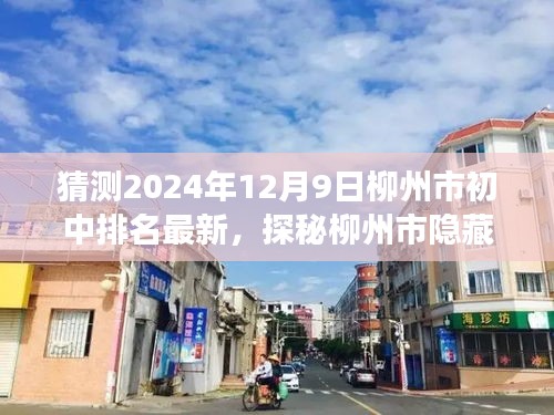 探秘柳州市隱藏小巷與特色小店故事，揭秘2024年柳州市初中排名背后的故事與最新排名猜測