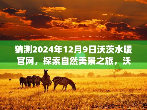 沃茨水暖官網(wǎng)，啟程探索自然美景之旅，探尋內(nèi)心的寧?kù)o平和的未來(lái)之旅（2024年12月9日）