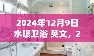2024年水暖衛(wèi)浴行業(yè)展望，創(chuàng)新與發(fā)展的融合，行業(yè)趨勢及英文市場分析