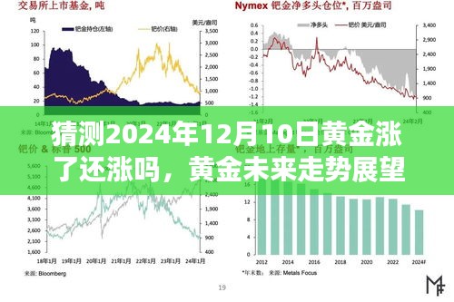 聚焦未來黃金走勢，2024年黃金價格預(yù)測及黃金走勢展望
