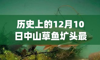 設(shè)備展示 第355頁