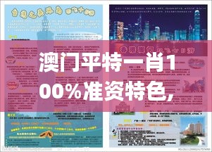 澳門平特一肖100%準資特色,實地數據驗證實施_7DM7.676
