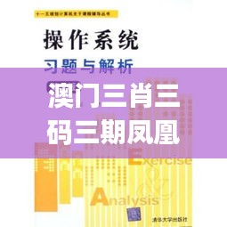 澳門三肖三碼三期鳳凰,適用解析計劃方案_創(chuàng)新版3.745