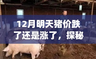 探秘小巷特色小店，揭秘豬肉行情與美味豬肉的饕餮之旅
