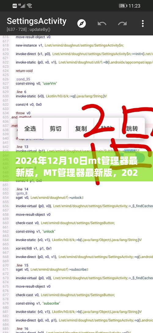 MT管理器最新版回顧與展望，2024年12月10日的功能更新與未來展望