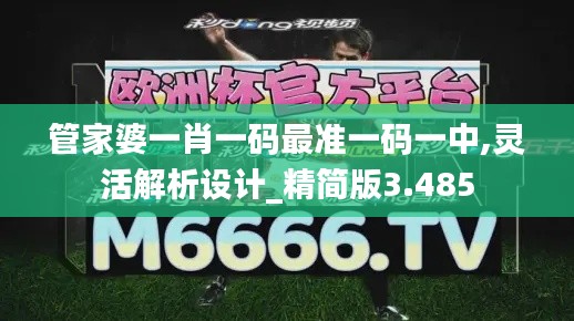 管家婆一肖一碼最準(zhǔn)一碼一中,靈活解析設(shè)計(jì)_精簡(jiǎn)版3.485