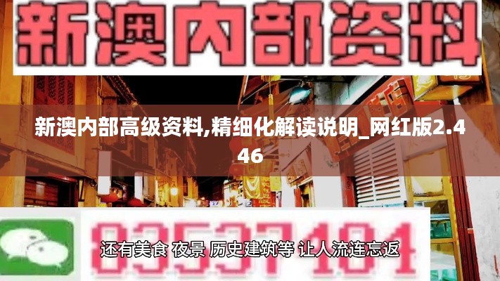 新澳內(nèi)部高級(jí)資料,精細(xì)化解讀說(shuō)明_網(wǎng)紅版2.446