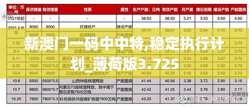 新澳門一碼中中特,穩(wěn)定執(zhí)行計劃_薄荷版3.725
