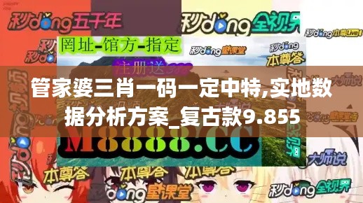 管家婆三肖一碼一定中特,實地數(shù)據(jù)分析方案_復(fù)古款9.855