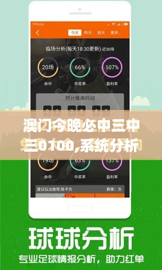 澳門今晚必中三中三0100,系統(tǒng)分析解釋定義_Executive12.770