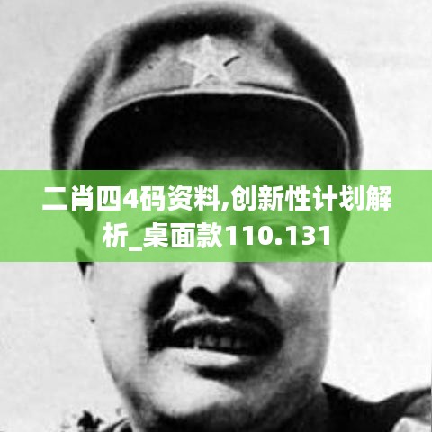二肖四4碼資料,創(chuàng)新性計(jì)劃解析_桌面款110.131