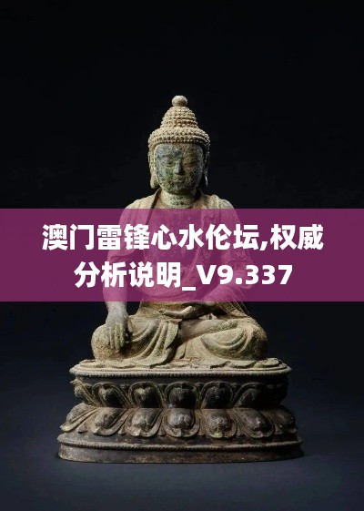 澳門雷鋒心水倫壇,權(quán)威分析說明_V9.337