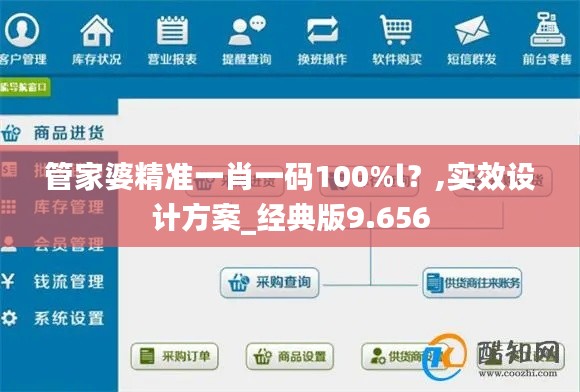 管家婆精準(zhǔn)一肖一碼100%l？,實(shí)效設(shè)計(jì)方案_經(jīng)典版9.656