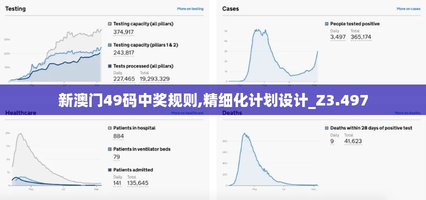 新澳門49碼中獎規(guī)則,精細化計劃設(shè)計_Z3.497