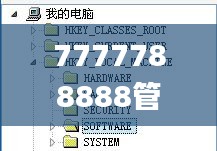 7777788888管家婆免費(fèi)網(wǎng),現(xiàn)象解答解釋定義_精簡版4.546