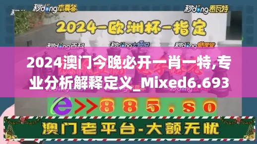 2024澳門(mén)今晚必開(kāi)一肖一特,專業(yè)分析解釋定義_Mixed6.693