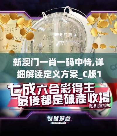 新澳門(mén)一肖一碼中恃,詳細(xì)解讀定義方案_C版14.527