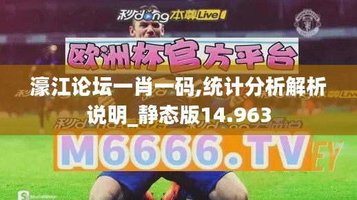 濠江論壇一肖一碼,統(tǒng)計(jì)分析解析說明_靜態(tài)版14.963