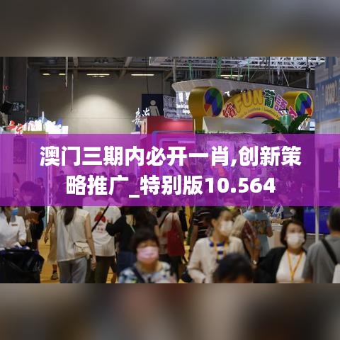 澳門三期內(nèi)必開(kāi)一肖,創(chuàng)新策略推廣_特別版10.564