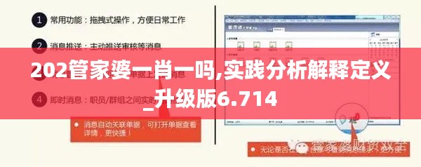 202管家婆一肖一嗎,實(shí)踐分析解釋定義_升級(jí)版6.714