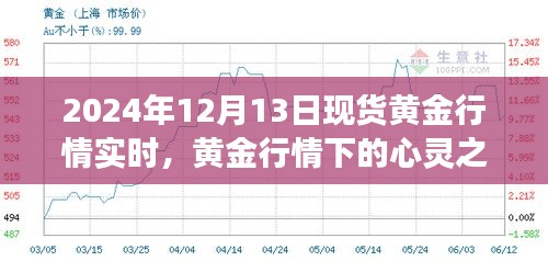 黃金行情下的心靈之旅，探尋黃金行情實時變化與內心平靜的黃金探險之旅（2024年12月13日）