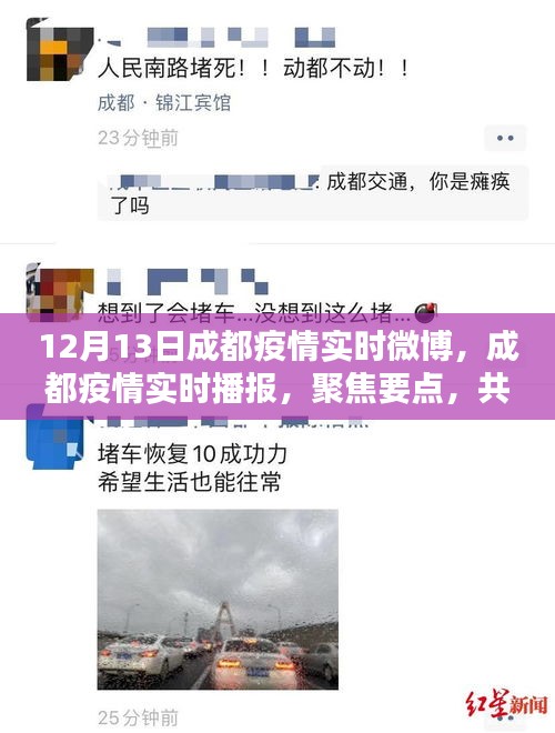 聚焦要點，成都疫情實時播報，共抗疫情之路