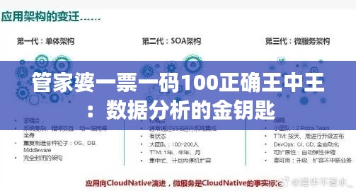 管家婆一票一碼100正確王中王：數(shù)據(jù)分析的金鑰匙