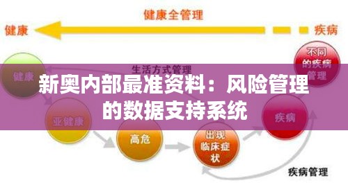 新奧內(nèi)部最準(zhǔn)資料：風(fēng)險(xiǎn)管理的數(shù)據(jù)支持系統(tǒng)