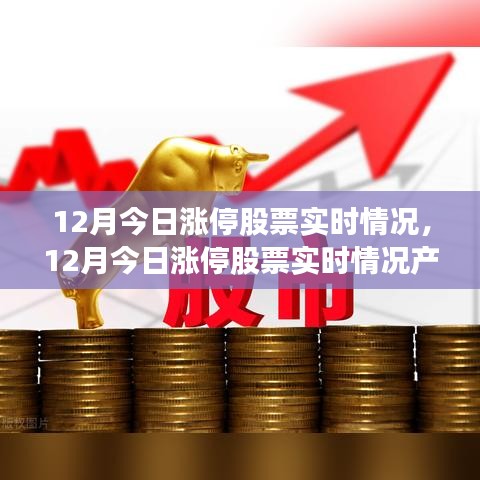 12月今日漲停股票實時情況深度解析與產(chǎn)品評測