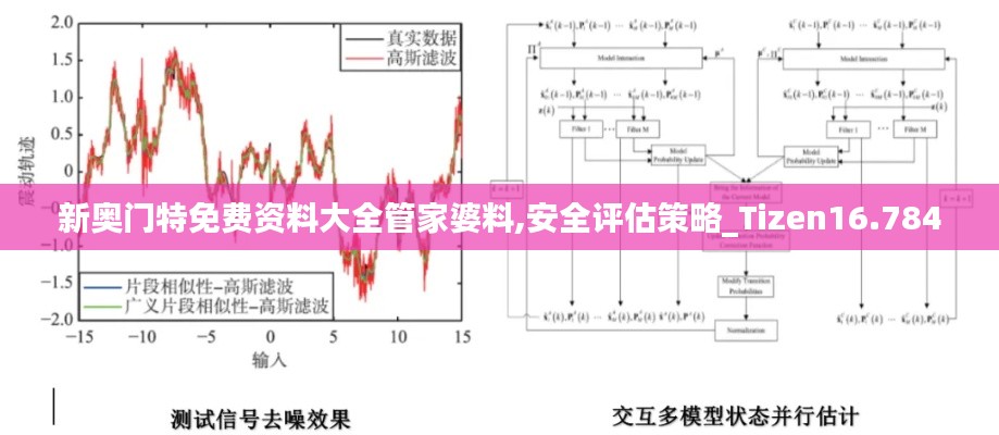新奧門特免費(fèi)資料大全管家婆料,安全評估策略_Tizen16.784