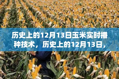 玉米實(shí)時(shí)播種技術(shù)的革新與發(fā)展，歷史上的12月13日回顧與前瞻