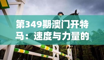 第349期澳門開特馬：速度與力量的較量