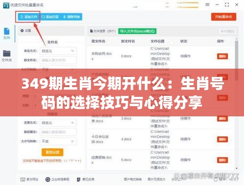 349期生肖今期開什么：生肖號碼的選擇技巧與心得分享
