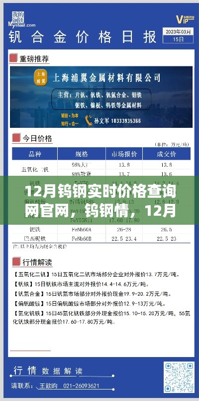 12月鎢鋼實(shí)時(shí)價(jià)格官網(wǎng)，友情與溫暖交織的鎢鋼情價(jià)格之旅